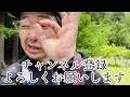 日曜どうでしょう 高室山のヤマシャクヤクはまだツボミでした 2023.05.21