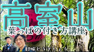 日曜どうでしょう 高室山のヤマシャクヤクはまだツボミでした(2023.05.21)