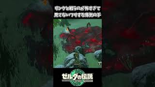 【ティアキン】リンクが怖すぎて見てないフリする瘴気の手【ゼルダの伝説 ティアーズ オブ ザ キングダム】