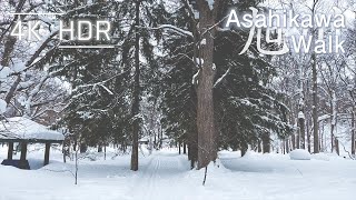 Quiet Silver Forest Walk in Asahikawa, Hokkaido, Japan | 4K HDR