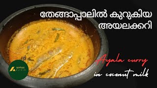 അയലക്കറി ഈ ഒരു രീതിയിൽ കഴിച്ചിട്ടുണ്ടോ?||Mackerel Fish Curry||Kerala Style Ayala Curry @Spice Alivia