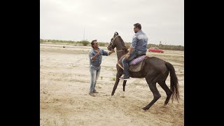 Guru  Sishyan #குரு சிஷ்யன் #gurusishyan #rajinikanth #rajnikanth #horse #chennai #tamilnadu