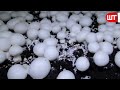 how mushrooms are grown u0026 processed modern mushrooms farming technology food factory