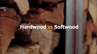 Battle Of The Trees: Hardwood Vs Softwood