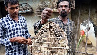 ଗୁଣ୍ଡୁରୀ ଚଢ଼େଇ,ତେତେର଼, ଡ଼ହୁକ ଚଢ଼େଇ, Gunduri farm bargarh//bater palan odisha, westarn odisha farming