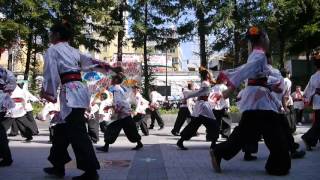 よさこいソーラン龍　大阪メチャハピー祭2015 京橋駅前