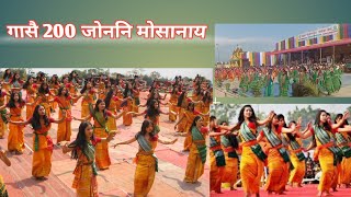 गासै 200 जोननि मोसानाय#Bodo Traditional dance