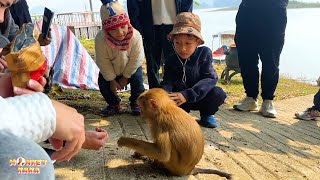 Tourists surrounded the Monkey Kaka out of curiosity