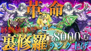 【裏修羅ランク上げ】経験値8000万越え！裏修羅の幻界を片サレ×真人で簡単楽々ランク上げ周回！#パズドラ #ランク上げ #片サレ