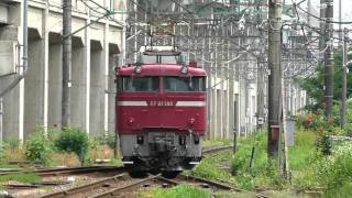 EF81140号機単機回送_20110613