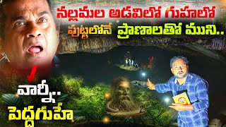 నల్లమల అడవిలో గుహలో ప్రాణాలతో ముని - Nallamala Forest Cave