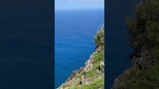 Two whales below Makapu'u Point Vista Point, Oahu, Hawaii