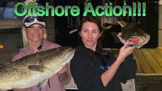 INSANE Action Offshore!! (GROUPER, SHARKS, And More!!!)