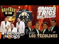 Trío Los Panchos, Los Tres Reyes, Alci Acosta Y Julio Jaramillo || Sus 30 Mejores Boleros De Oro