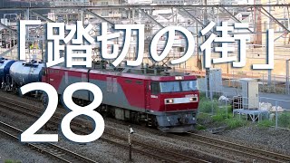 JRF 踏切の街28 EF66-133 EF210-329 EF65-2088 EH500-14 DD200-15