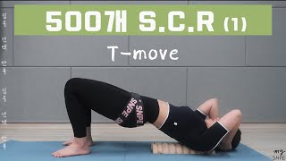 [맹쌤SNPE] T-move 500개 S.C.R  같이해요 !