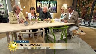 Nyhetspanelen: \