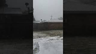 250121 Louisiana Snow