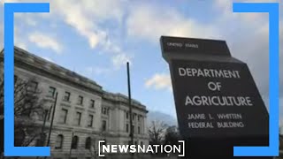 Fired USDA employee: I was thrown out 'like a piece of trash' | NewsNation Live