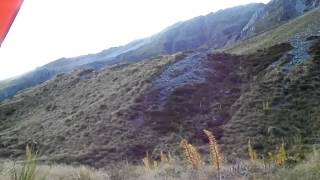 Tahr Hunting Rangitata New Zealand