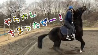 あーこっこ乗馬日記〜衝撃！てーへんだぁ、尻もちついちまったぜ！新しい助っ人参上でこれからもよろしくな