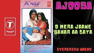 Oh Mera Jaan E Bahar Aa Gaya - Ajooba (1991) - Hindi Song