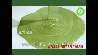 Wowo ginger shampoo 蜗蜗纯姜洗发露