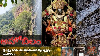 అహోబిలం శ్రీ లక్ష్మీనరసింహస్వామి వారి దేవస్థానం #ahobilam #lakshminarasimha  #andhrapradesh