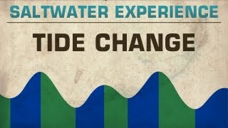 Fishing the Tide Change