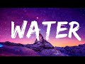 Tyla - Water (Remix) ft. Travis Scott  | Lyrics Vibes