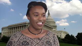 Panetta Internship Experience