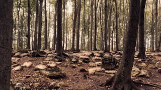 The Megalithic Mysteries of Beech Hill (Bukowa Góra). Poland’s Stonehenge Uncovered! Forest walk