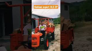 Prezentare motoagricola motocultor tractoraș 4x4 diesel Goldoni export 18,5 CP/Cv/Hp