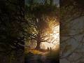 Short  Sketch - Gaze - Blender Lightning setup, Sun rays, and Fog. Blender and Photoshop. #3dart
