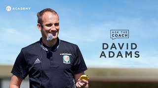 David Adams • Swansea, Daniel James and Gylfi Sigurdsson • Ask The Coach