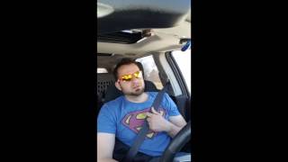 Best Breed of Dog for Protection / Guard work - How to Select a Protection Dog # 1