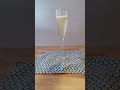 Sparkling Wine Cocktails: The Prosecco Cocktail