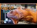 NARBC Tinley Park Reptile Show UNCUT (March 2024)