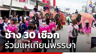 ช้าง 30 เชือกร่วมแห่เทียนพรรษา | ข่าวช่อง8