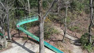 【島根県邑南町】香木の森公園 伐採作業の様子