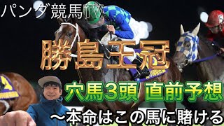 【勝島王冠 2021】穴馬3頭直前予想〜パンダ競馬TV