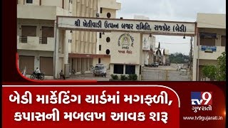 Rajkot: Farmers reach Bedi marketing yard with abundant groundnut and cotton yields |TV9GujaratiNews