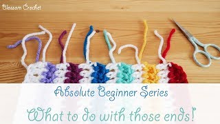 Absolute Beginner Crochet Series Ep 9: What to do with those ends!