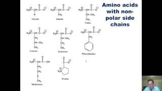 Chapter 23 – Protein Chemistry: Part 2 of 10