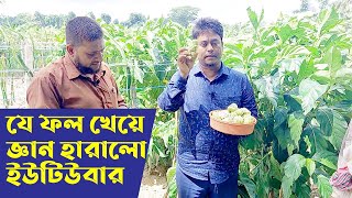 যে ফল খেয়ে জ্ঞান হারালো ইউটিউবার!! কৃষি ভাই।