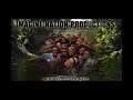 Imagine Nation Productions DJ Mix 