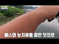 초보들의 동출 경기북부 배스는 냉정하기로 유명하지 feat. 냉정지에서 우중전