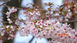 鎮守の杜（末広稲荷神社・大田区久が原2-8-1）