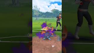 Mega Beedrill destroys grunt
