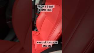 Tesla Front Seat Adjustment Control